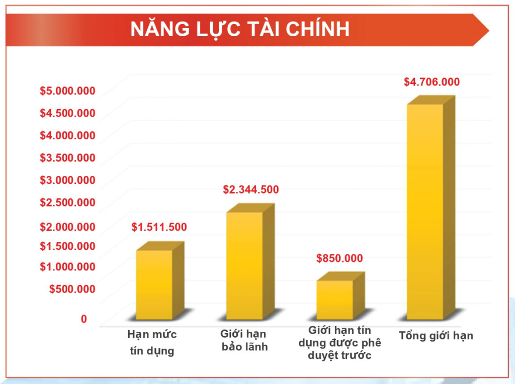nangluctaichinh